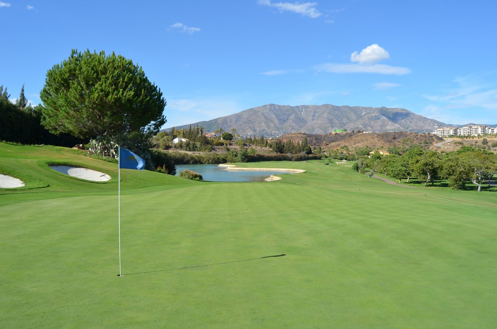 A golf course with trees and water in the background.