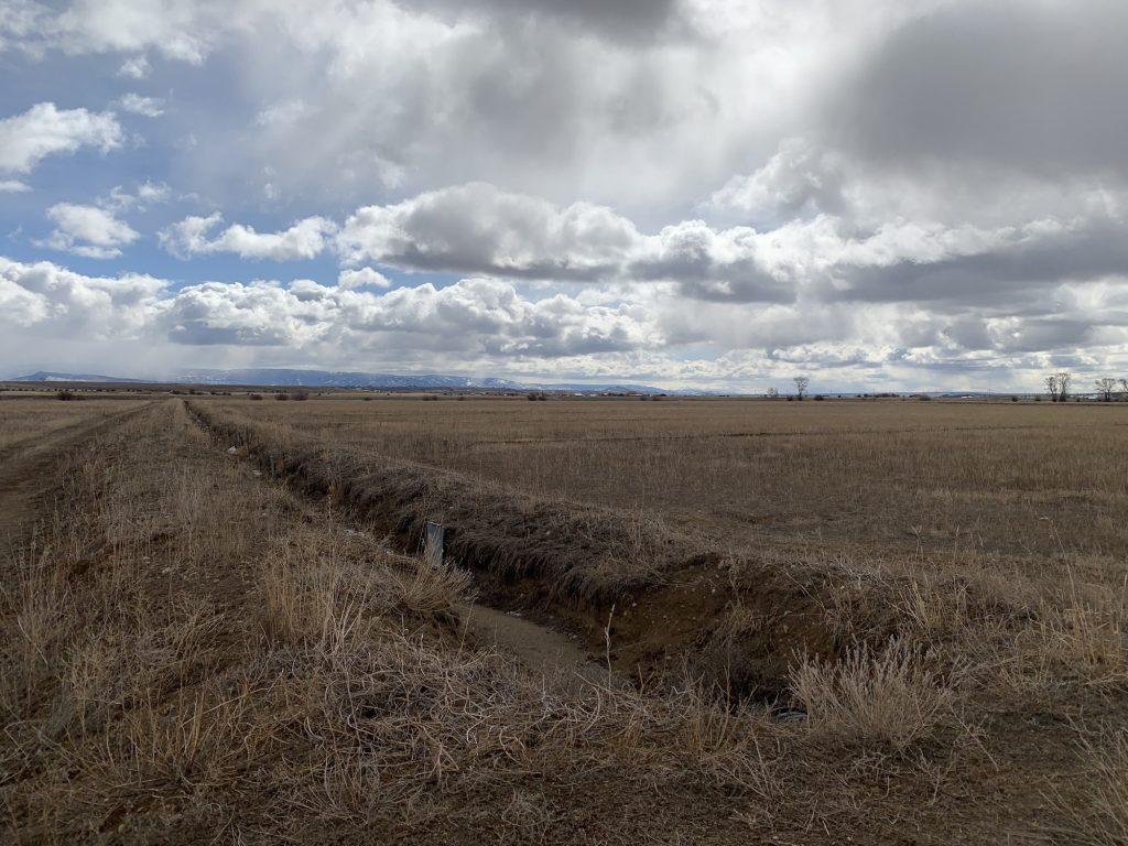 These fields near Pinedale, Wyo. are participating in the upper basin’s System Conservation Pilot Program. At a meeting this week water managers took a step toward tracking, measuring and storing water conserved through this program in Lake Powell. Heather Sackett/Aspen Journalism
