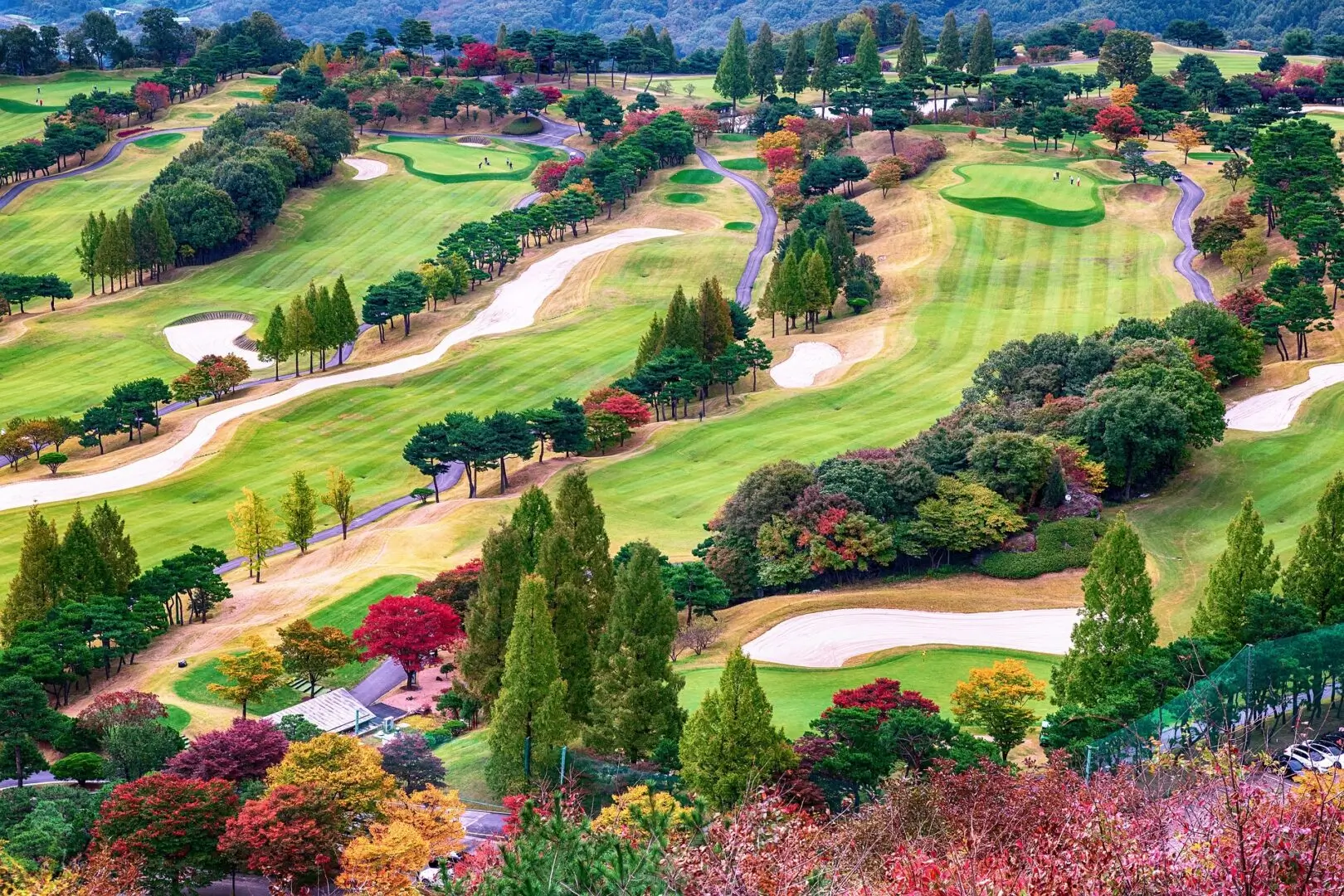 Aerial view of a golf course in autumn.